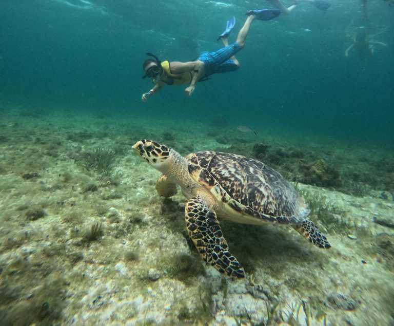 The Ultimate First-Timer’s Travel Guide to Cancun